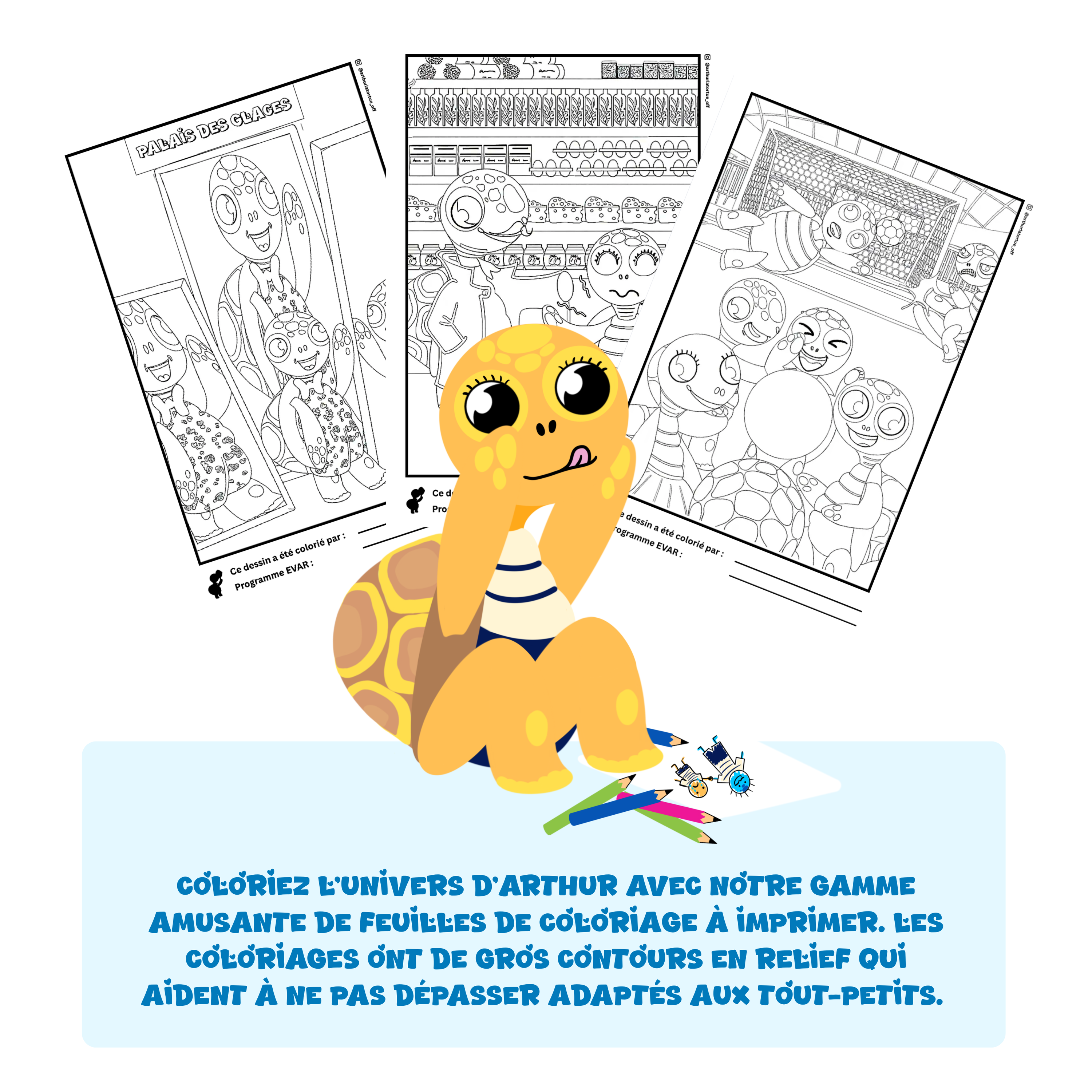Coloriage Arthur la Tortue à imprimer – activité créative pédagogique pour enfants de maternelle, univers EVAR / EVARS