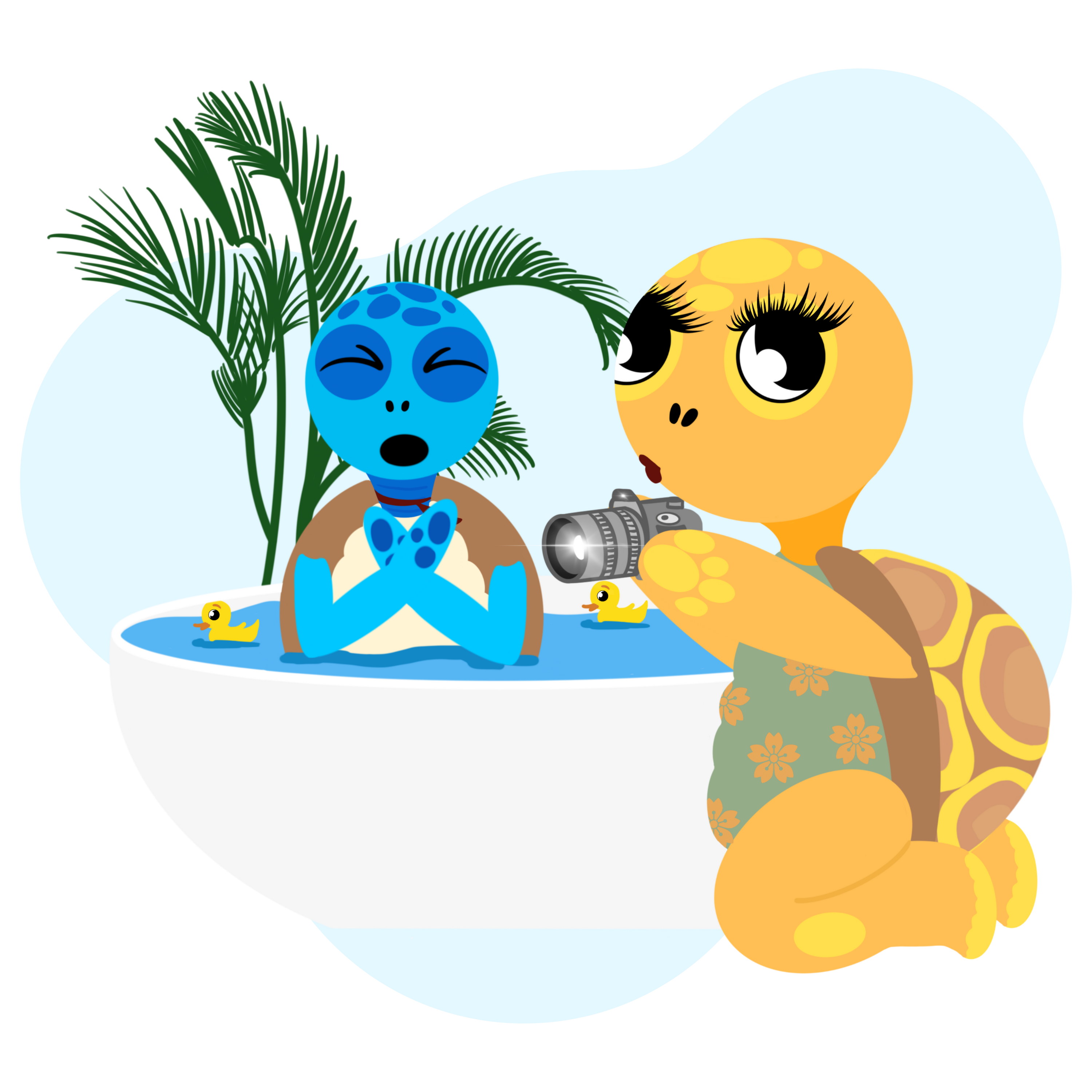 Illustration Arthur la Tortue – co-enseignement école et maison, les situations du quotidien comme pont pour prolonger le dialogue sur l'EVAR en famille